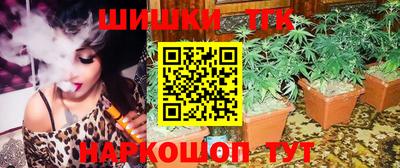 эйфоретик Кингисепп