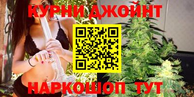 шишки Кинель