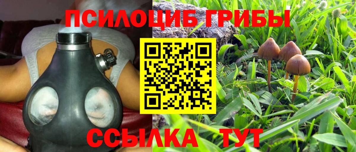 Галлюциногенные грибы Magic Shrooms  Галлюциногенные грибы GOLDEN TEACHER  Вход с VPN  Шали 