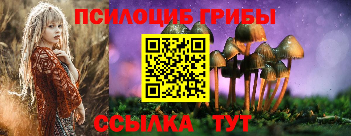 Галлюциногенные грибы мицелий Шали